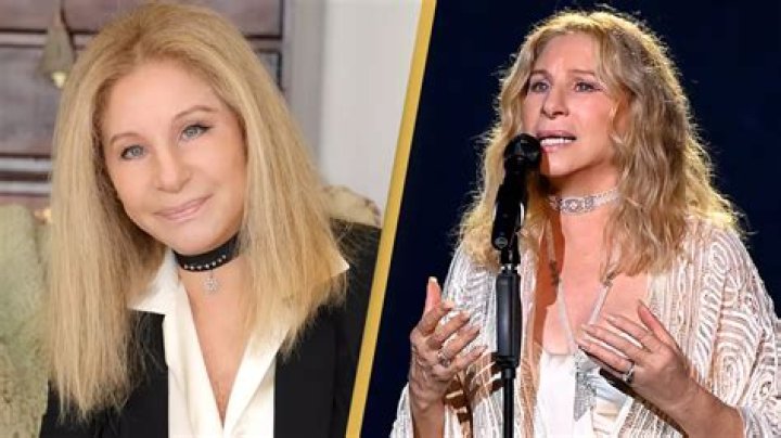 Barbra Streisand, 81, Unconcerned About Criticism for Provocative Dressing