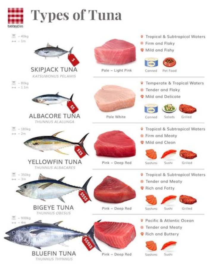 Flying Tuna’s Girlfriend: Who is Flying Tuna Dating?