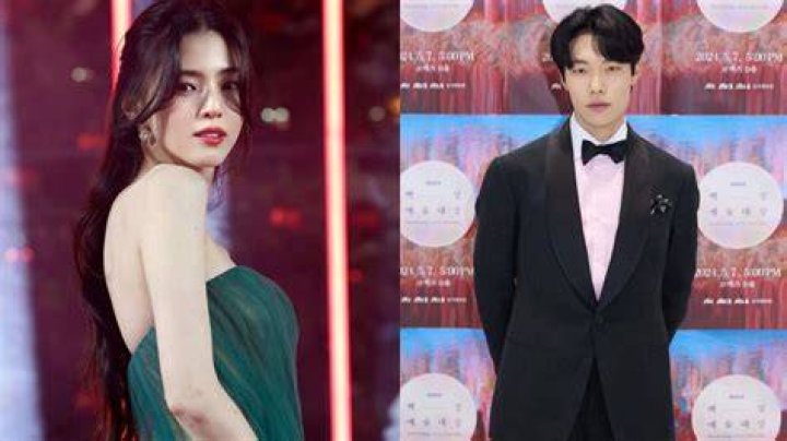 Han Dong’s Boyfriend: Who is Han Dong Dating?
